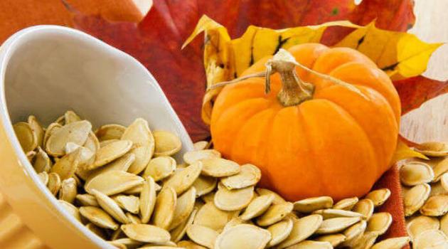 Chất đạm có trong thức ăn nào ngoài thịt, cá?