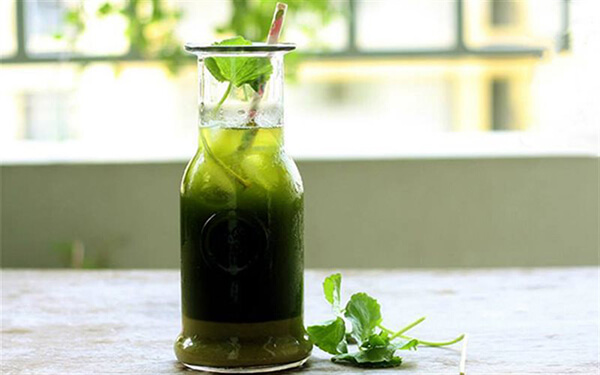 Rau má đậu xanh - Thức uống mùa hè cho bé giải độc cơ thể