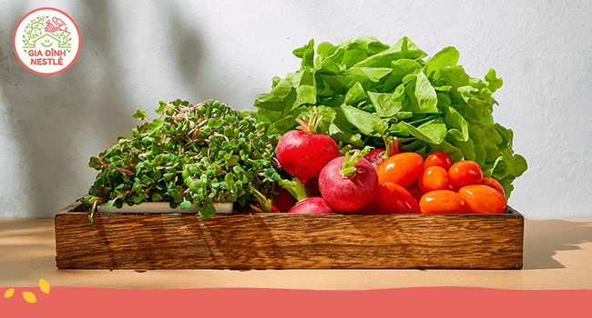 9 thực phẩm tốt cho sức khỏe hàng đầu vào mùa nắng nóng