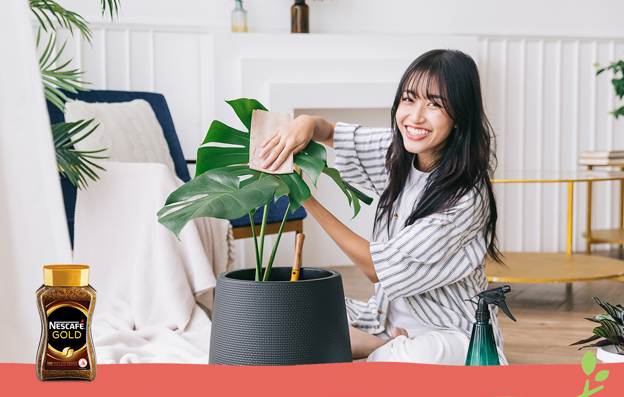Vừa chăm sóc cây xanh, vừa chiêm nghiệm sự hài hòa giữa vị đắng của hạt Robusta, nốt chua nhẹ của hạt Arabica của NESCAFÉ Gold Blend Nguyên Chất Hòa Tan, sẽ giúp bạn thư thái hơn.