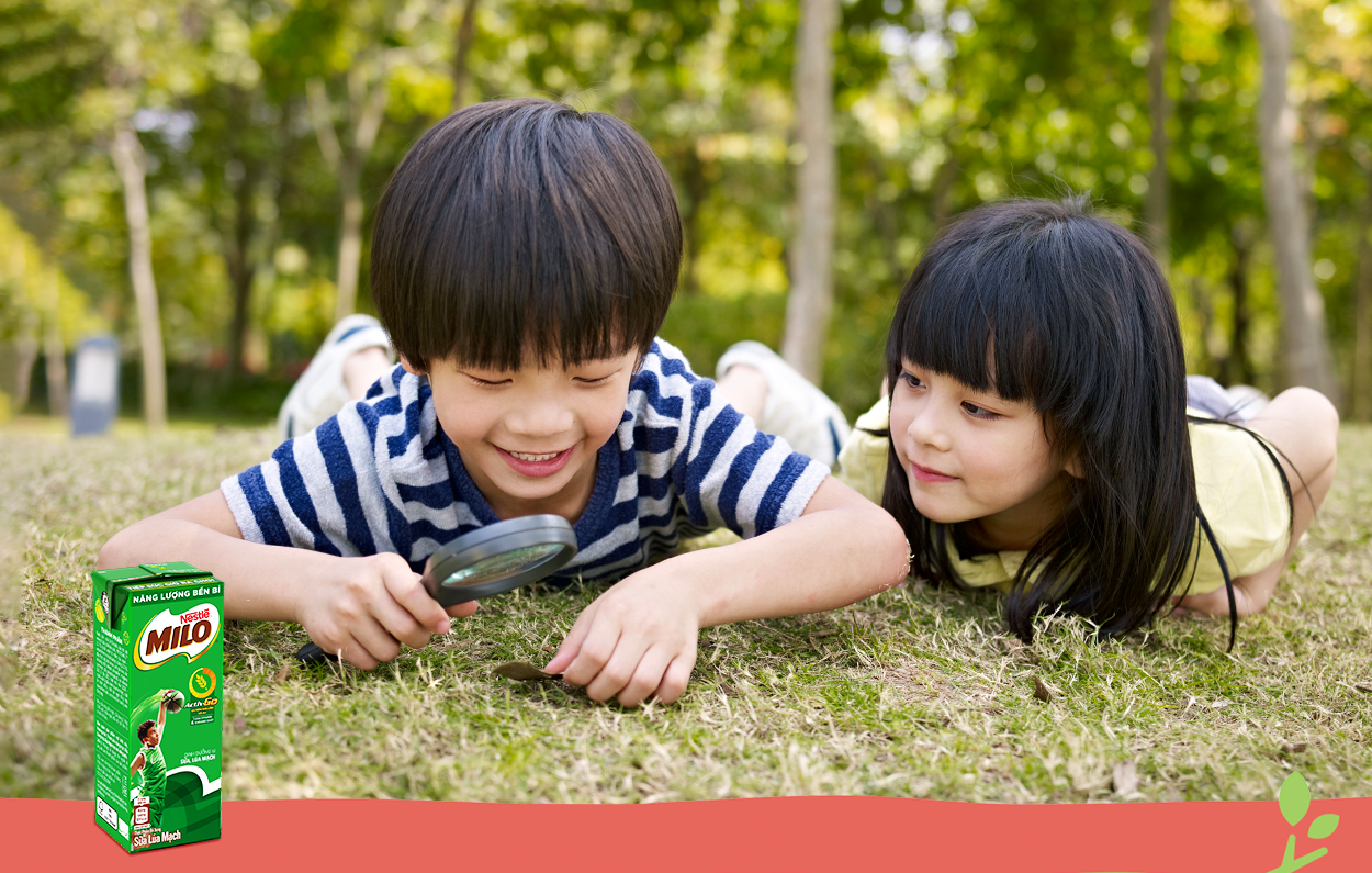 Cho con đi công viên thường xuyên để kết thân cùng người bạn thiên nhiên, từ đó trẻ sẽ dần quen thuộc và yêu thích lối “sống xanh” một cách tự nhiên.