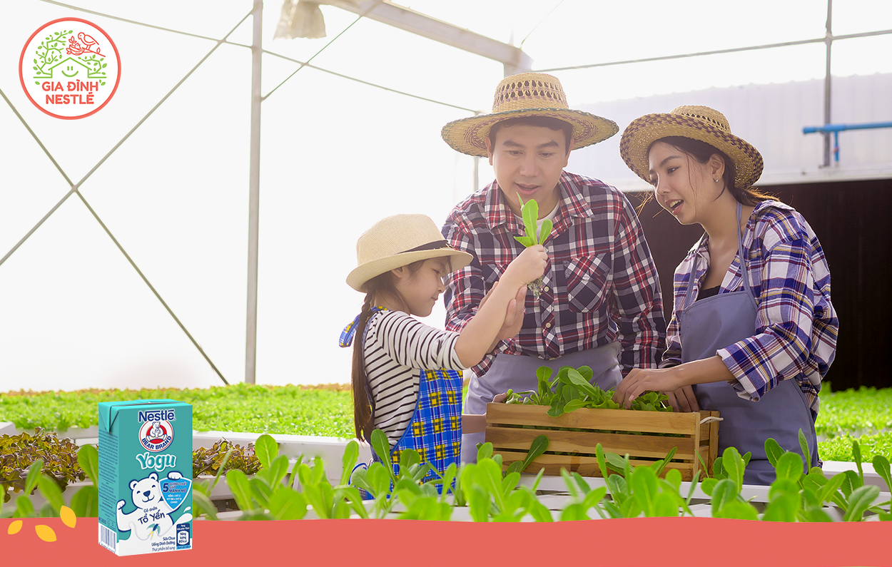 Bé luôn MẠNH KHOẺ ở muôn nơi với Sữa Chua Uống Dinh Dưỡng Nestlé Yogu có chứa Tổ Yến và 5 dưỡng chất thiết yếu hộp pha sẵn tiện dụng.